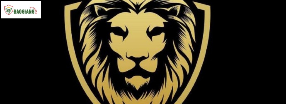 PHẦN MỀM BÁN HÀNG ĐIỆN TỬ CHUYÊN NGÀNH SINGA